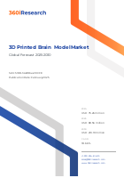 3D Printed Brain Model